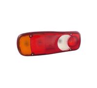 FANALE POSTERIORE SINISTRO CON CONNETTORE POSTERIORE CON LUCE TARGA - DAF - XF 9