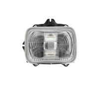 Fanali DEPO 212-1116L-LD-E, sinistro