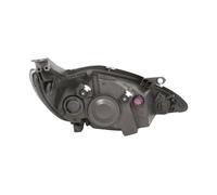 Fanali DEPO 431-1190LMLD-EM, sinistro