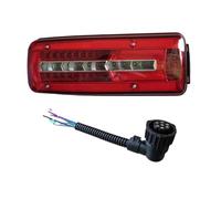 Fanali Posteriori Dell'auto Fanale Posteriore A LED Da 24 V Per Camion Per Man Fanale Posteriore Per TGX Per TGM Destro/sinistro Con Connettori Accessori Parti(Left With Connector)