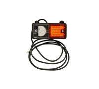 WAS 491 Indicatore di direzione