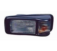 Fanalino Freccia Laterale per Isuzu Serie N 2007 Destro