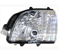 Fanalino Freccia Specchio Retrovisore Toyota Rav 4 Dal 2019 Destro