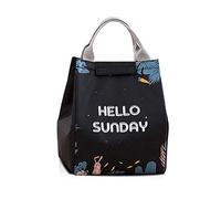 FANDARE Borsa Termica Isolante Pranzo al Sacco Borse frigo Borsa da Picnic Lunch Borsetta per Uomo Donna Adulti Campeggio Lavoro Spiaggia Pesca Scuola Lavoro Impermeabile Poliestere Blu A