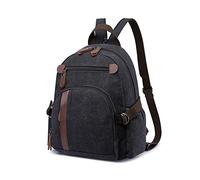 FANDARE Tela Zaino Zaino Porta PC Uomo Borsa Zainetto Donna Zaino Scuola Zainetto Zainetti Cartella Borsa da scuola Università All'aperto Viaggio porta PC 12.9 Pollici Zaino Nero