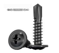 FandWay 100 viti autofilettanti a testa tonda, colore nero, M4,2 x 13 mm, in acciaio inox 410, viti autofilettanti, viti a croce, viti per legno per acciaio con 1 bit e scatola.