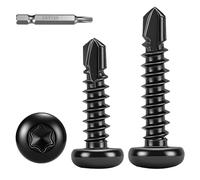 FandWay 100 viti autofilettanti Torx, testa cilindrica, viti autofilettanti M4,2 x 32 mm, testa tonda in acciaio inox 410 nero, viti autofilettanti in metallo, assortimento con 1 punte TX20.