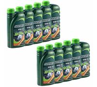 FANFARO Olio Motore 10W-40 Api Sl 10x 1 Litro per Rieju Sachs Suzuki Triumph