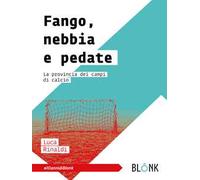 Fango, nebbia e pedate. La provincia dei campi di calcio