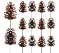 Fangoo 12Pezzi 8-12cm Pigne Naturali Pigne Decorative Grandi per Albero di Natale Utilizzato la Decorazione Domestica della Corona dei Fiori dell'artigianato fai da te di Natale del Ringraziamento