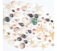 Fangoo 1500 pezzi di Mini Spiaggia Naturale di Conchiglie Miste Pietre di Agata Naturali Spiaggia Decorazione per Decorare Spiagge Matrimoni Feste Home Decor Vasi Ripieni Artigianato Fai da te