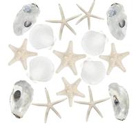 Fangoo 16 Pezzi 7-10cm Naturale Stelle Marine Conchiglie Decorazione Spiaggia Conchiglie Stelle Marine Artigianato per la Pittura DIY Decorazione Matrimonio Spiaggia Bianco Decorazione di Natale