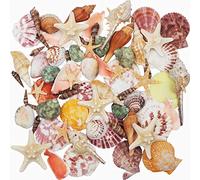 Fangoo 9 tipi Misti Oceano Conchiglie 2 tipi di stella marina, 3-9 cm, colorate naturali, per decorazioni di nozze per feste in spiaggia Fish Tank Vaso Fillers Beach Party Matrimoniali DIY