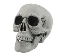 Fangoo Teschi di Halloween Realistico Cercando Halloween Cranio Testa Scheletro Plastica Cranio 1: 1 Replica Bone Modello, Modello di teschio per Halloween Party Casa Esterno Decor, 20 x 15 cm