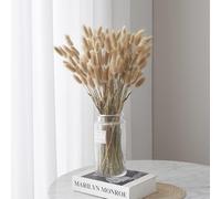 FANNAS 60 Pezzi Erba Della Pampas Fiori Secchi Coda di Coniglio Bouquet,Fiori Secchi Naturali Boho Decor Bouque Pampa di Coniglietto Essiccato per Matrimoni Home per La Casa (Colore Naturale)