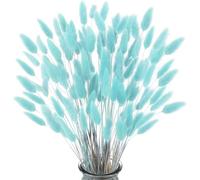 FANNAS 60 Pezzi Erba Della Pampas Fiori Secchi Coda di Coniglio Bouquet,Fiori Secchi Naturali Boho Decor Bouque Pampa di Coniglietto Essiccato per Matrimoni Home per La Casa (Blu Tiffany)