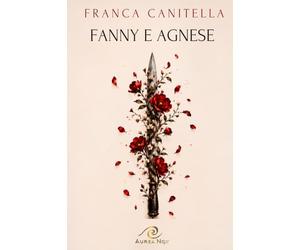 Fanny e Agnese di Franca Canitella, Romanzo Psicologico