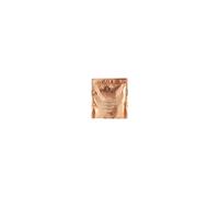 Fanola Oro Therapy Decolor Cheratina 500 g - Decolorante in Polvere