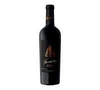 Fanova Riserva 2021 Primitivo Gioia del Colle DOC Terre Carsiche