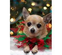 FanSee Kit per diamond painting 5D fai da te, Simpatico cane Chihuahua Diamond arte Painting Immagini secondo i numeri, DIY Ricamo a punto croce diamante painting, Regalo per Decorazione Casa 35x45cm