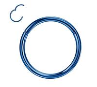 FANSING 1pc Grado 23 Titanio Body Piercing Anelli per naso Orecchio Labbro Setto 20G/18G/16G/14G/12G/10G 5mm/6mm/7mm/8mm/9mm/10mm/11mm/12mm/13mm/14mm/16mm Argento/Oro/Oro Rosa/Nero/Blu, Metallo