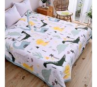 FANSU Copriletto Trapuntato 170x200cm, Microfibra Copriletto Matrimoniale, Tema dei Dinosauri Trapunta Matrimoniale, Primaverile Estivo Reversibile Trapunta Leggero Elegante