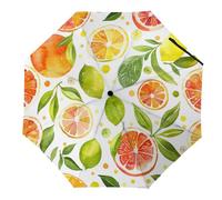 FANSU Ombrello Pieghevole, Portatile Ombrelli, Umbrella Pieghevoli da Viaggio, Resistenti Leggero Antivento Compatto, Universale per Uomini Donna, Stampe di Frutta (Frutta estiva)