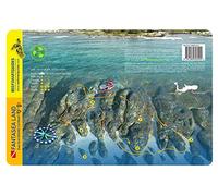 Fantasea Land Grand Cayman Island Waterproof Dive Card