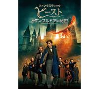 Fantastic Beasts 3 (DVD) Eddie Redmayne