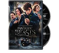 Fantastic Beasts and Where to Find Them (DVD) Eddie Redmayne Katherine Waterston