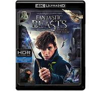 Fantastic Beasts and Where to Find Them (4K Ultra HD + Blu-ray (4K UHD Blu-ray)