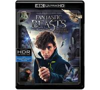 Fantastic Beasts and Where to Find Them (4K Ultra HD + Blu-ray (4K UHD Blu-ray)