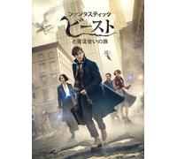 Fantastic Beasts And Where To Find Them (DVD) Eddie Redmayne