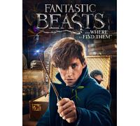 Fantastic Beasts and Where to Find Them (DVD) Eddie Redmayne Katherine Waterston