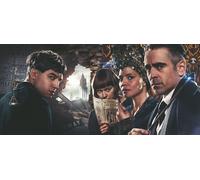 FANTASTIC BEASTS AND WHERE TO FIND THEM TEXTLESS BANNER J K ROWLING SCAMANDER