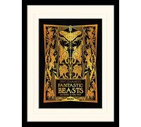 Fantastic Beasts l' arte stampe di crimini di Grindelwald, multicolore, 30 x 40 cm