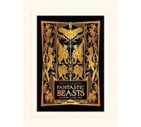 Fantastic Beasts l' arte stampe di crimini di Grindelwald, multicolore, 30 x 40 cm