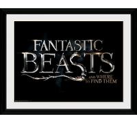 Fantastic Beasts: Logo (Stampa In Cornice 30X40 Cm) NUOVO