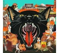 Cat Out Of Hell
