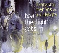 Fantastic Merlins - How The Light Gets In