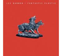 Fantastic Plastic