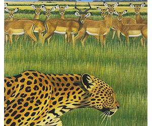 Fantastic Plastic Machine - Zoo (Too Remixes)