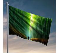 Fantastica bandiera da giardino, una persona sta su un sentiero di legno in una fitta foresta di bambù, per uomo, grotta, bar, decorazione per la stanza dei ragazzi e adolescenti (152 x 244 cm)