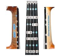 Fantastica guida per viola. 13"