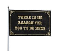 Fantastiche bandiere per camera da letto di ragazzi con scritta in inglese "There is no reason for you to be here", decorazione per cameretta dei bambini, 60 x 90 cm