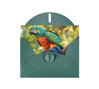 Fantastici biglietti di auguri con stampa di piume di pappagallo, con buste, vacanze, compleanni, matrimoni e tutte le occasioni