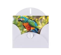 Fantastici biglietti di auguri con stampa di piume di pappagallo, con buste, vacanze, compleanni, matrimoni e tutte le occasioni