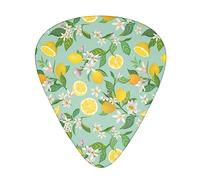 Fantastici plettri per chitarra Confezione da 12 W Box Celluloide Fantastici plettri Foglie di albero di limone Fiori tropicali Fiori floreali Regalo per uomini e donne Chitarristi Per chitarr