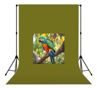 Fantastico sfondo fotografico con piume di pappagallo, ideale per le vacanze, per studio, matrimoni, servizi fotografici, decorazione per la casa