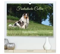 Fantastische Collies - Sieger der Herzen (hochwertiger Premium Wandkalender 2026 DIN A2 quer), Kunstdruck in Hochglanz: Bezaubernde Collies, charmant, intelligent und verspielt.